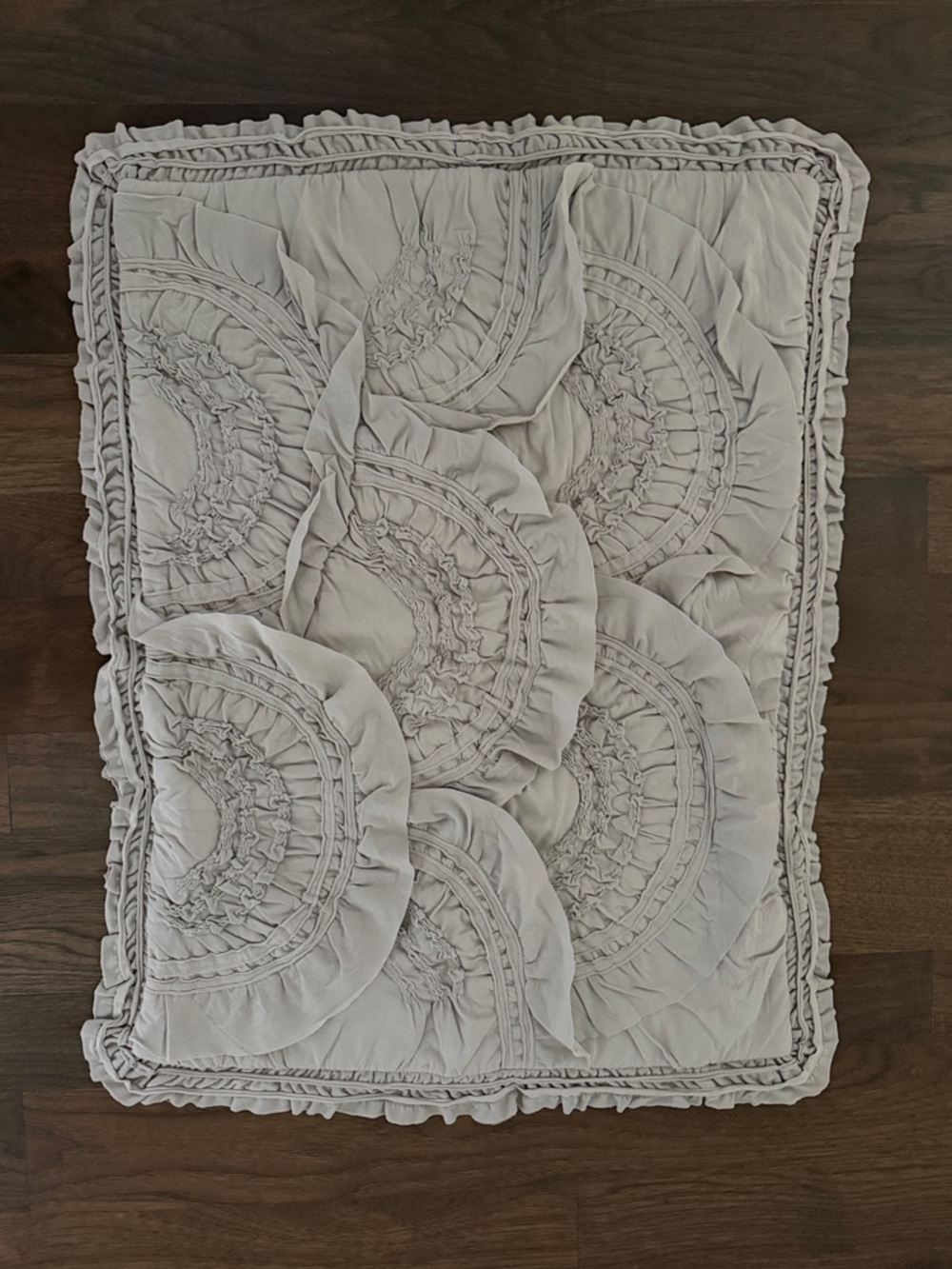 Anthropologie Rivulets sham